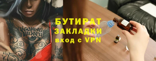 шишки Бородино