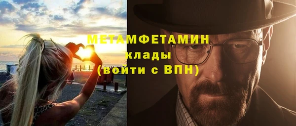 шишки Бородино