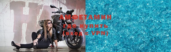 шишки Бородино