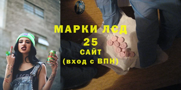 шишки Бородино