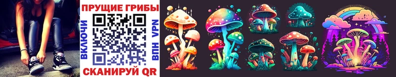 где можно купить наркотик  Новоуральск  Псилоцибиновые грибы Cubensis 
