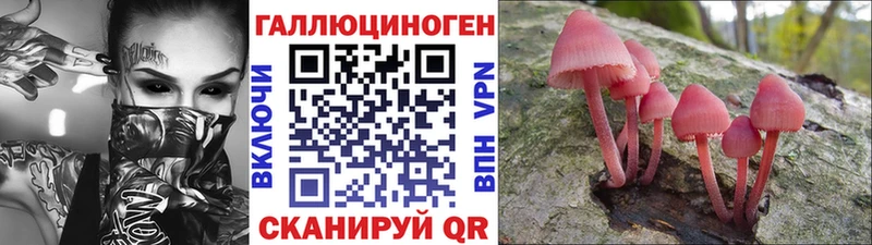 Псилоцибиновые грибы Psilocybine cubensis Новоуральск